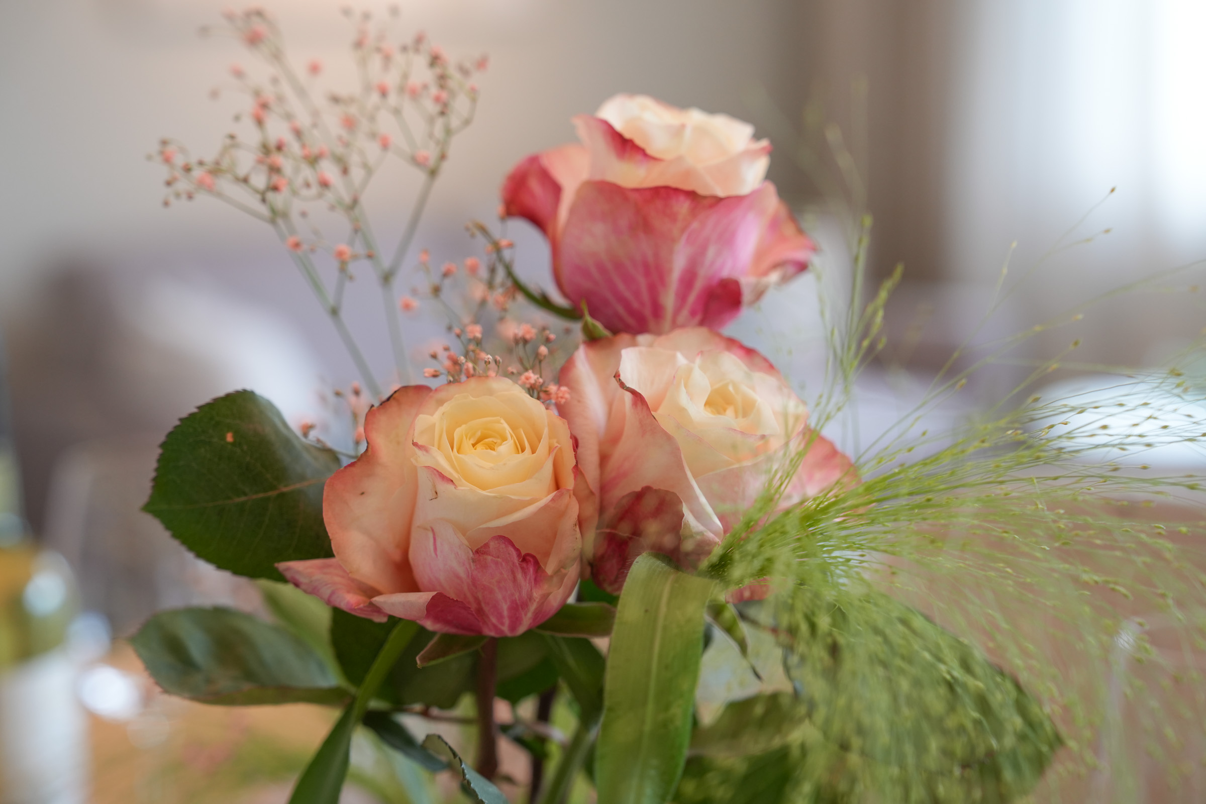 101-freiburg.de / Appartement 1 101-freiburg.de / Appartement 1